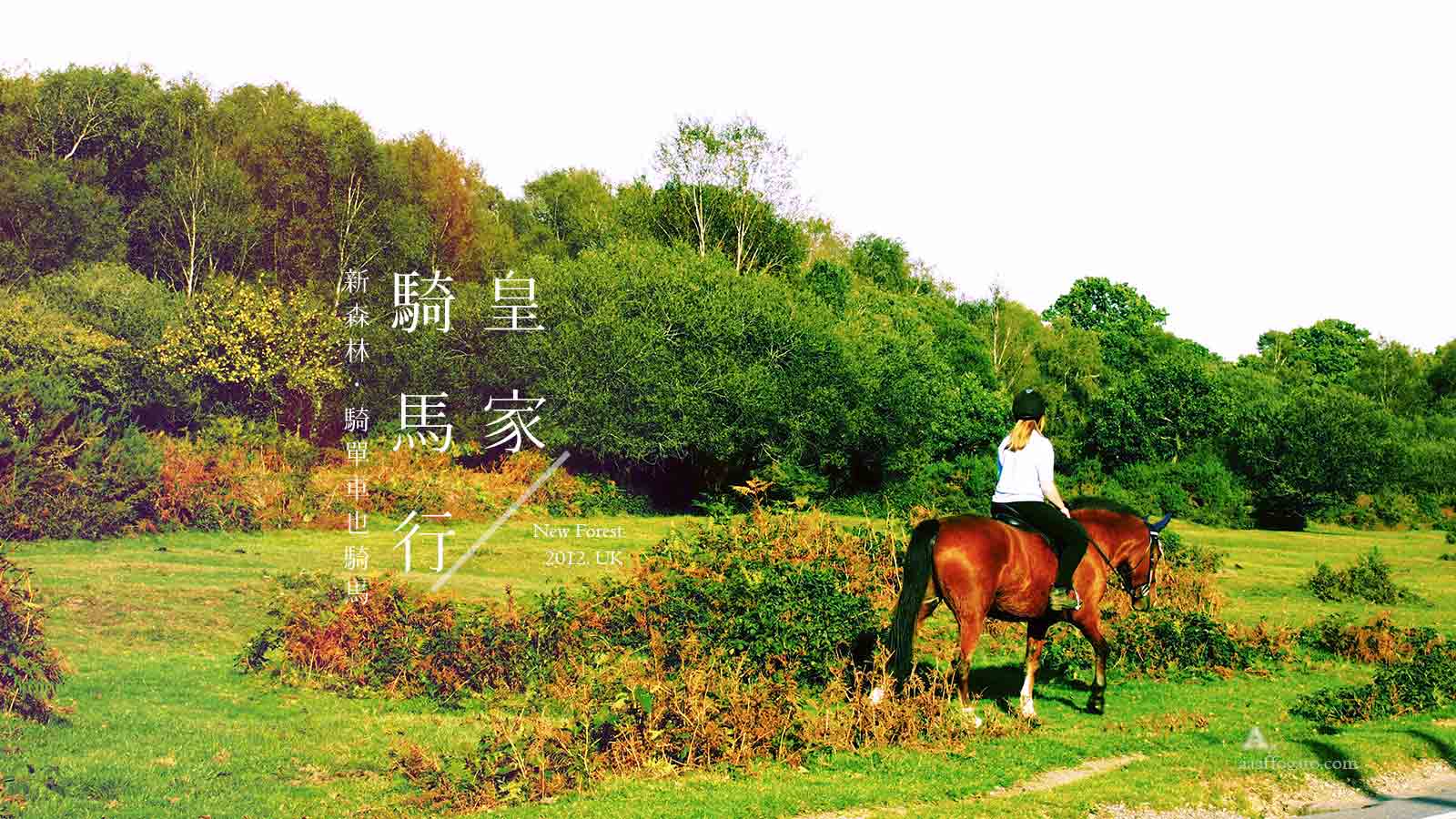 南英格蘭一日遊記｜英國・New Forest 新森林系列 ❸： 皇家騎馬行