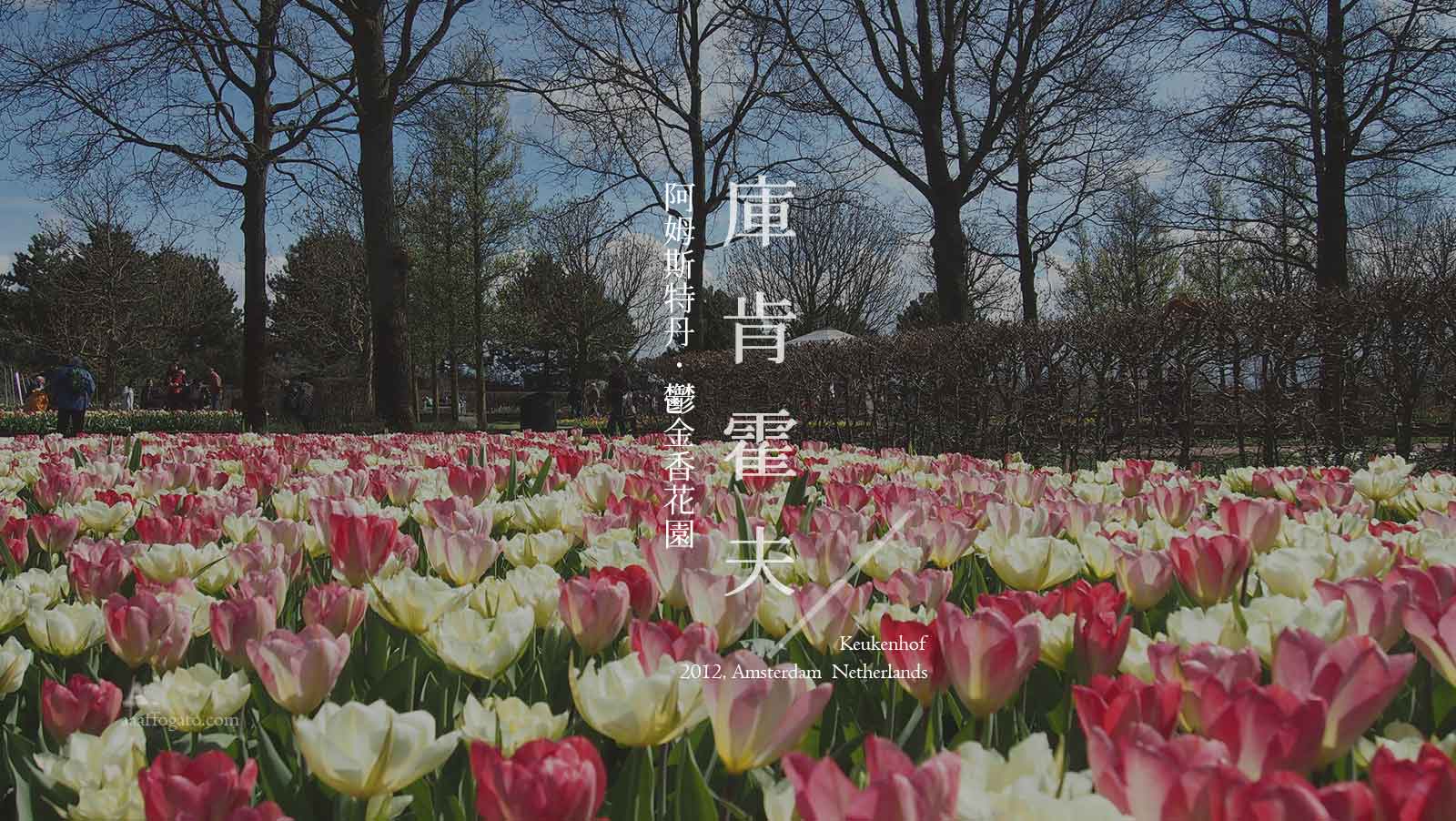 春天的荷比盧遊記｜Netherlands 荷蘭： 阿姆斯特丹 Keukenhof 庫肯霍夫鬱金香花園